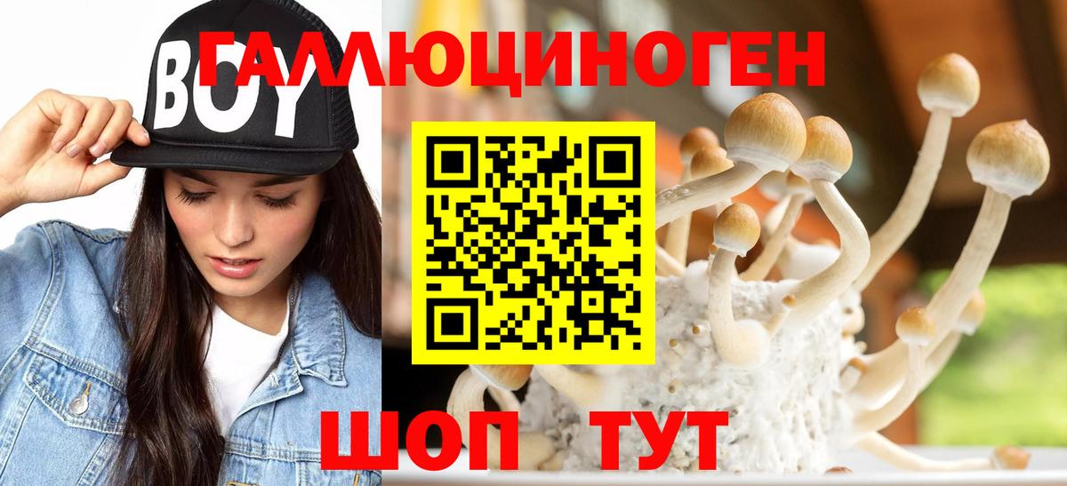 Ханты-Мансийск  Галлюциногенные грибы Cubensis  Вход с VPN  Галлюциногенные грибы Psilocybe 
